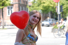 Frederiksberg 2006
