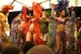 Karneval06_03_0066